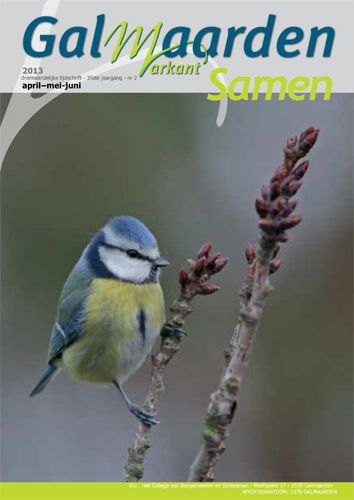 Kaft van Samen 2013-2